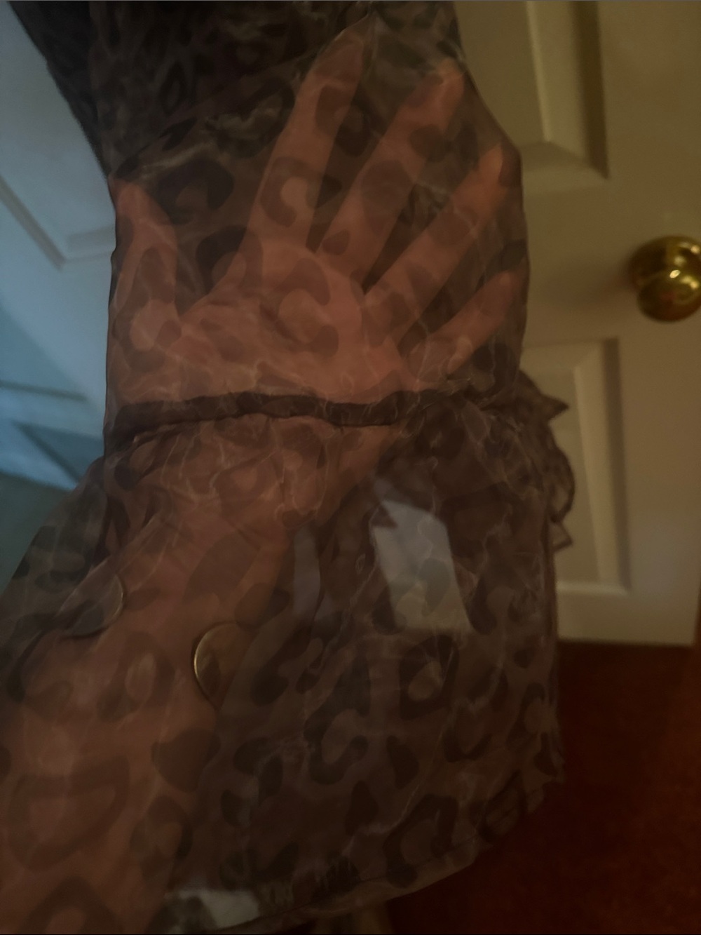 Sheer Brown Leopard Print Puff-Sleeve Dress - Picture 2 of 6